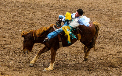 Rider holds on during the Bareback Riding competition