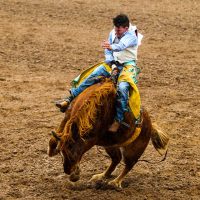 Bronc riding competitor endures the gyrations of his ride 