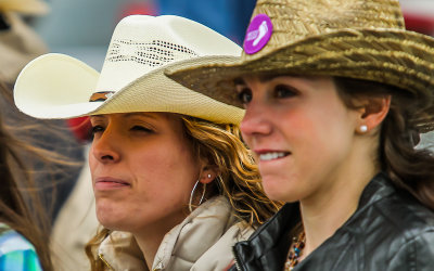 Tucson Rodeo fans take in the competition