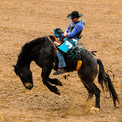 Rodeo competitor in the Bareback Riding competition