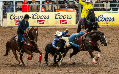 Steer Wrestling competitor leaps off of his horse as his hazer rides alongside