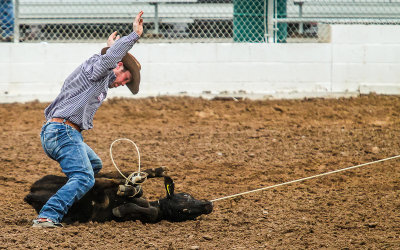Cowboy completes the Tie-Down Roping competition