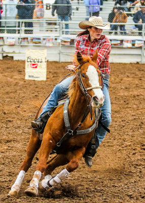 Barrel Racing competitor 