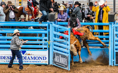 Bull Rider Chase Hamlin comes out of the chute on bucking bull Blast Off