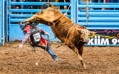Blast Off bucks Bull Rider Chase Hamlin