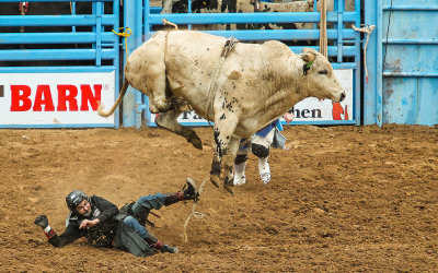 Bull Rider Remi Wildeman is thrown from a leaping Crankenstien