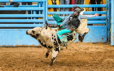 Bull Rider holds on to his bucking bull