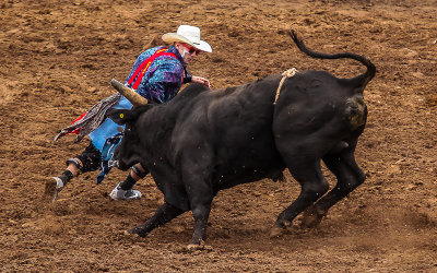 Bull chases a Rodeo Clown