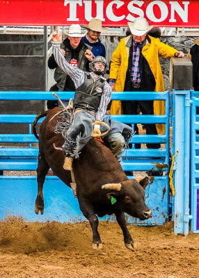 Will Morris comes out of the chute riding bucking bull Bob