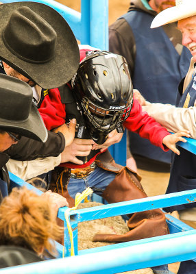 Young rider is helped into place for the Mutton Bustin competition