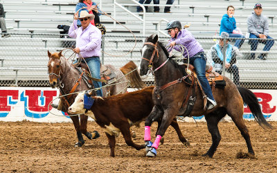 Junior Rodeo Team Roper lassoes her calf