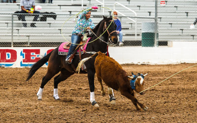 Junior Rodeo Team Roper works to rope her calfs hind legs