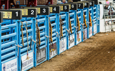 Rodeo chutes await the Tucson Rodeo bronc and bull riding events