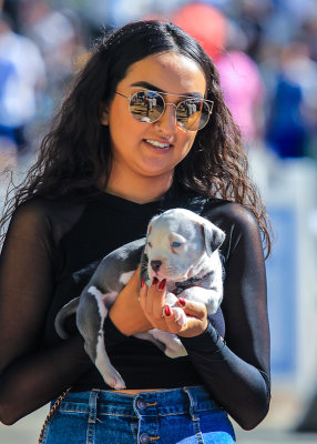 Girl with a puppy at the 4th Avenue Street Fair