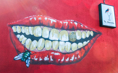 Mural at The Flycatcher bar at the 4th Avenue Street Fair