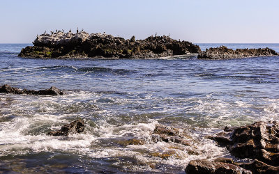 Small island off the shore in Laguna Beach