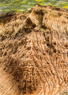 Eroded cliff along the coast in Cabrillo National Monument