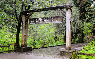 The main gate at Muir Woods National Monument 