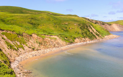 Elephant Seals on the beach along Drakes Bay in Point Reyes National Seashore