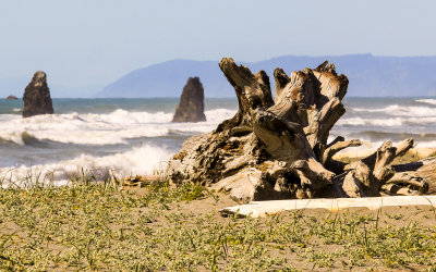 Redwood driftwood washed up on a Pacific Ocean beach in Redwood National Park