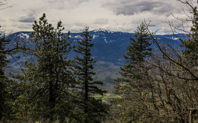 View along the Green Springs Mountain Loop Trail in Cascade-Siskiyou National Monument