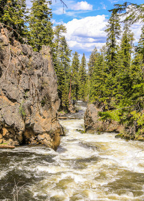 Behind Benham Falls in Newberry National Volcanic Monument