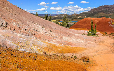 Close-up along the Painted cove Trail in the Painted Hills Unit of John Day Fossil Beds National Monument
