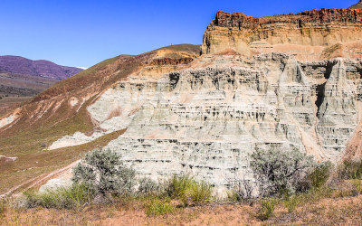 Clay cliff face at Foree in the Sheep Rock Unit of John Day Fossil Beds National Monument