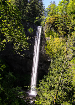 View of Latourell Falls along the Columbia River Gorge