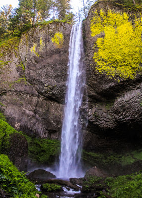 Latourell Falls from the trail along the Columbia River Gorge