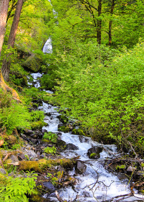 Wahkeena Falls along the Columbia River Gorge