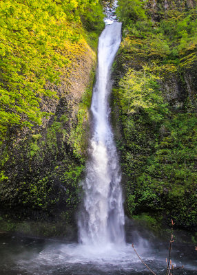 Horsetail Falls along the Columbia River Gorge