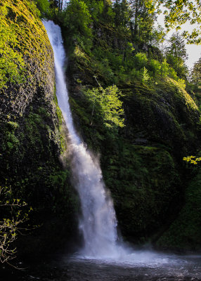 Horsetail Falls in the late afternoon sunlight along the Columbia River Gorge