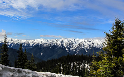 Hurricane Ridge viewed from along the Hurricane Hill Road in Olympic National Park