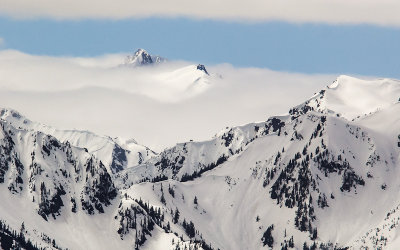 Mountain peaks are islands in the clouds along Hurricane Ridge in Olympic National Park