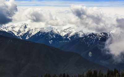 Hurricane Ridge in the clouds in Olympic National Park