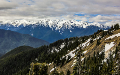View of Hurricane Ridge from the park road in Olympic National Park