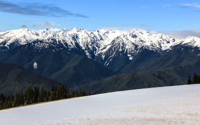 Hurricane Ridge and the Bailey Range from the Visitor Center in Olympic National Park 