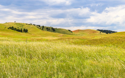 Rolling prairie along NPS 5 in Wind Cave National Park