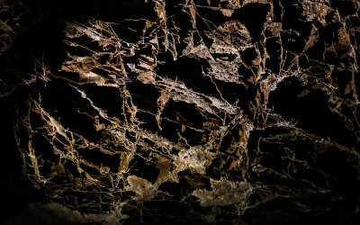 Boxwork on the ceiling above the trail along the Fairgrounds Tour in Wind Cave National Park