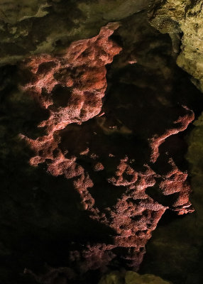 Red nailhead spar formation in Jewel Cave National Monument