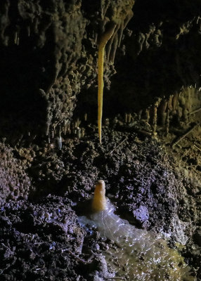 Stalactite and stalagmite formations in Jewel Cave National Monument