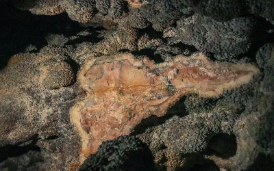 Nailhead spar with broken area exposed in Jewel Cave National Monument