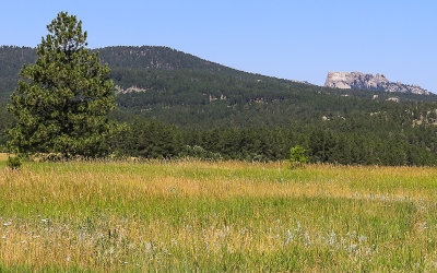 View of Mt Rushmore along the Iron Mountain Road in Custer State Park