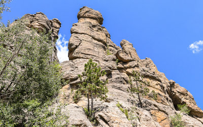 Looking up at a rock formation from the Needles Highway in Custer State Park