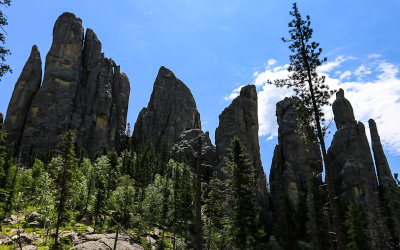 The Cathedral Spires in Custer State Park