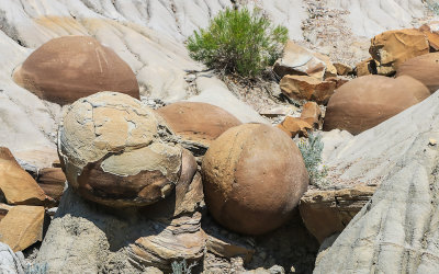 Large Cannonball Concretions in Theodore Roosevelt NP - North Unit