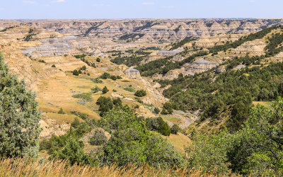 Bentonite (fine-grained blue-gray clay) covered badlands in Theodore Roosevelt NP - North Unit