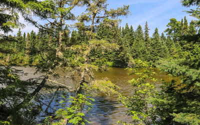 View across Washington Creek in Isle Royale National Park