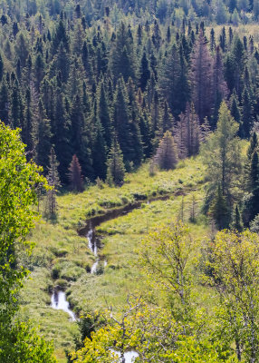 Grace Creek from the Grace Creek Overlook in Isle Royale National Park